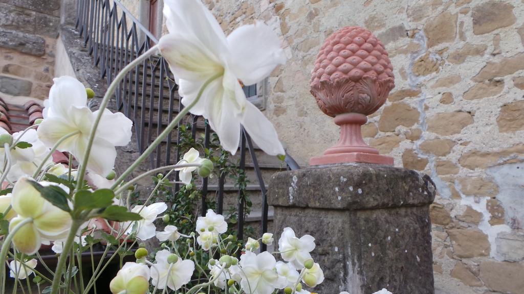 Casa Vacanze Villa Maria Anghiari Eksteriør bilde